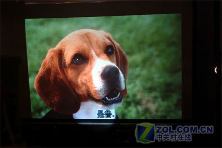 看过别笑 千元自制投影机到底啥模样 看过别笑 千元自制投影机到底啥模样